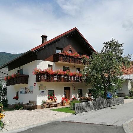 Apartments & Rooms Smucka クランスカゴーラ エクステリア 写真